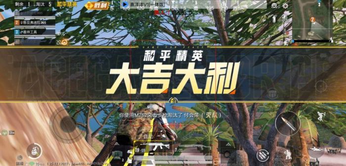 oppo手机和平精英的外挂怎么搞（oppo手机和平精英外挂怎么调）